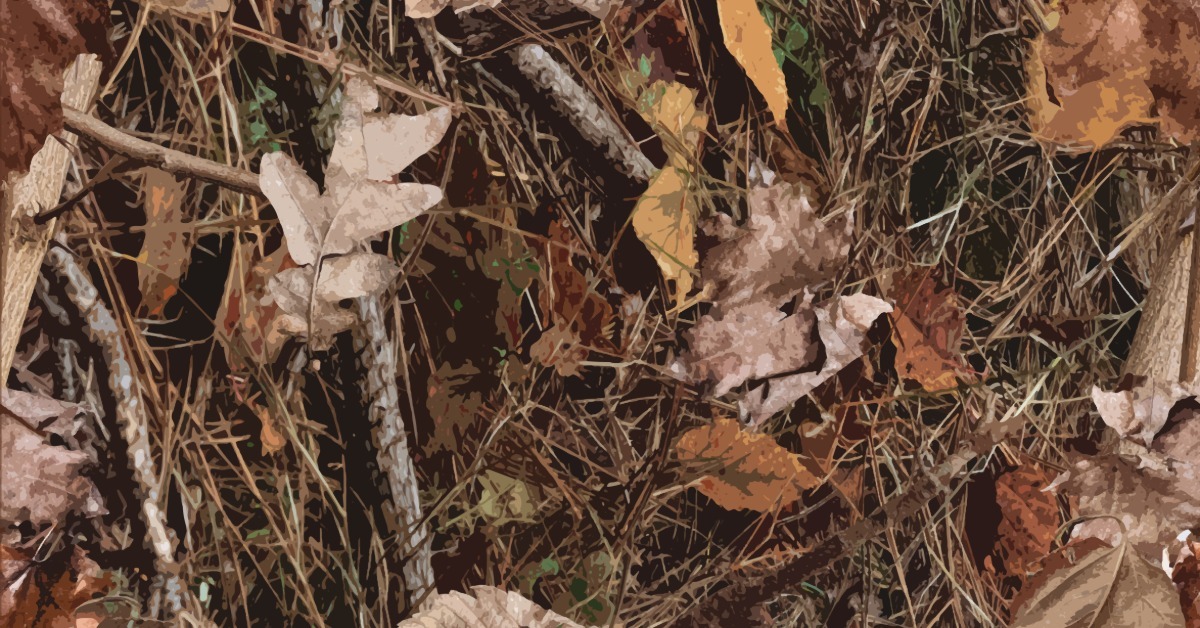 Graphic art depicting leaves, twigs, and dead grass in an assembly resembling a forest floor for camouflage purposes.