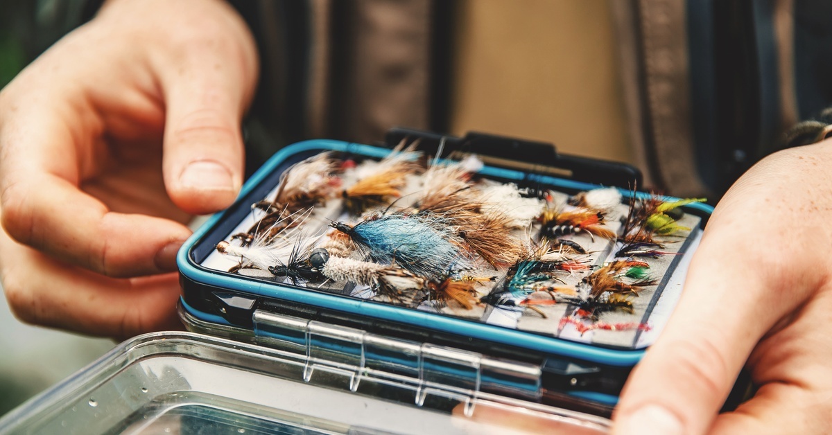 A close-up on an angler's collection of fly fishing lures. Most feature colorful feathers and other wispy elements.