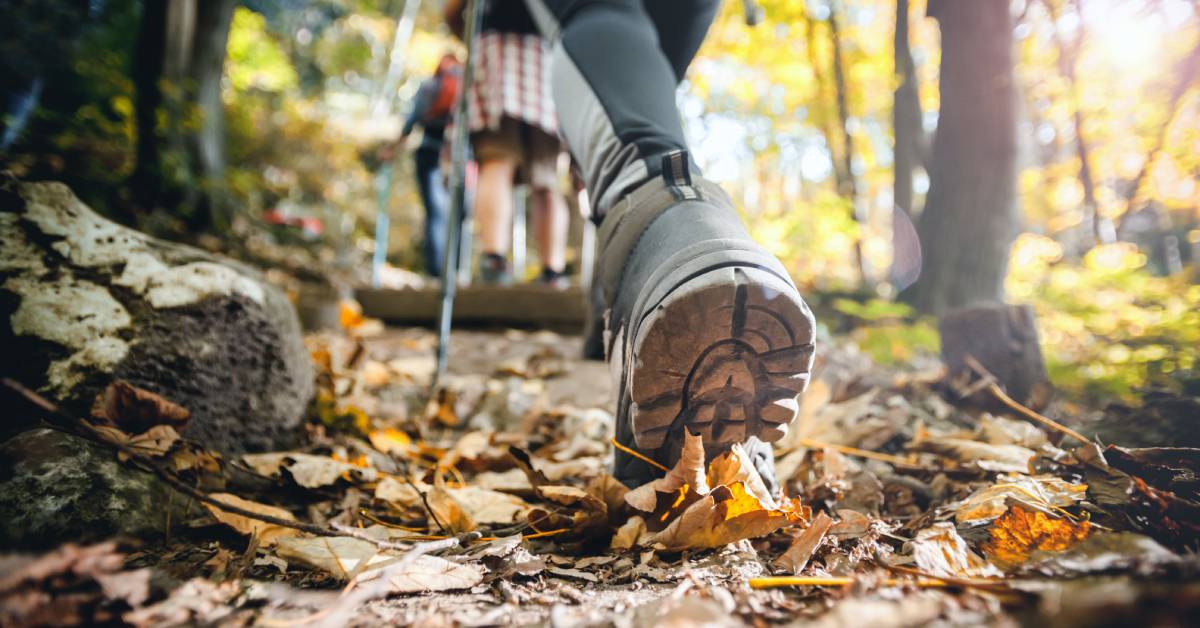 A ground-level view of a woman hiking through a forest trail with hiking boots, poles, and other hikers in front.