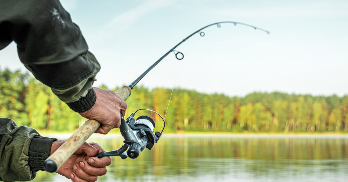 An angler holds a fishing rod on a lake with surrounding forest. The rod is bending to signify a hooked fish.