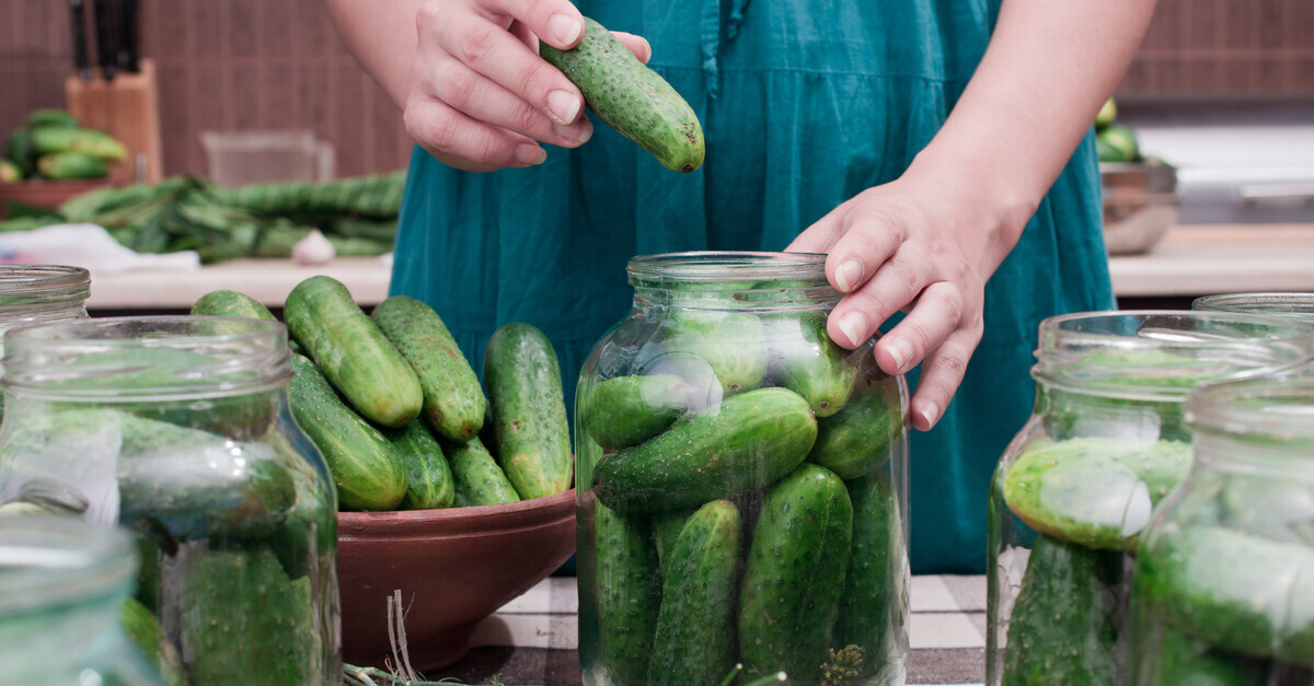 A woman places a cucumber in a glass jar for canning with numerous other jars already filled with cucumbers around here.