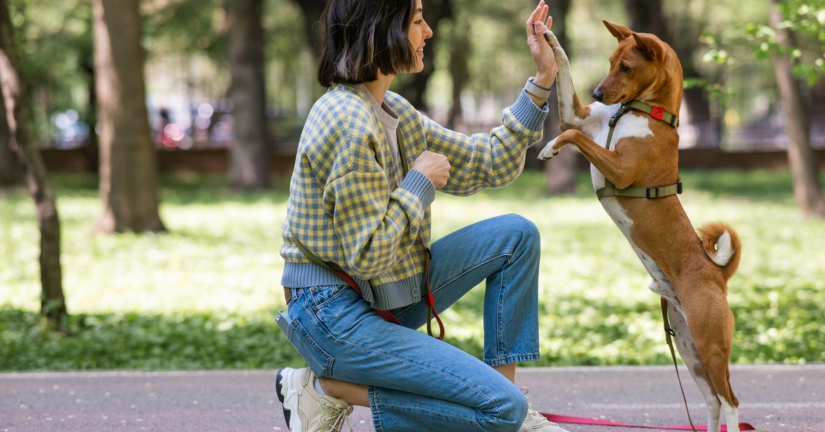 A dog and its owner in the middle of a public park. The owner is high-fiving their dog while holding onto its leash.