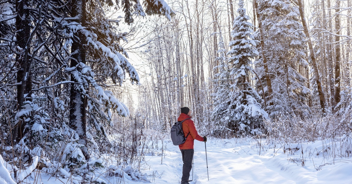 A lone person wearing a thick winter jacket and standing in a snow-covered forest. The person looks at the trees.