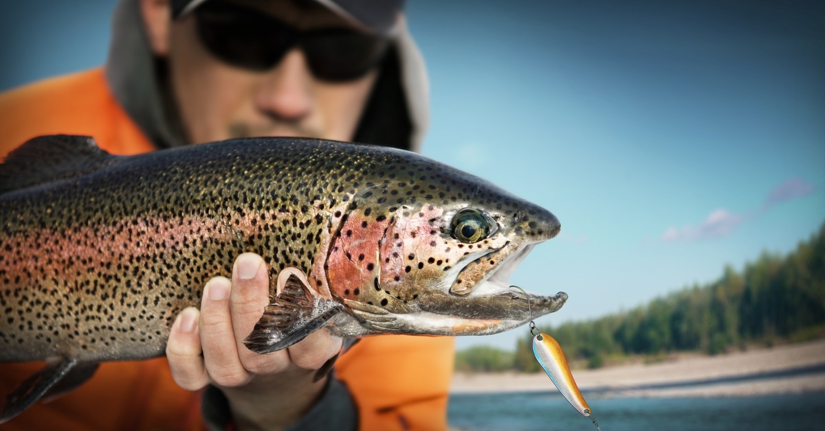 A person holding a rainbow trout in the middle of a lake. There is a spoon lure hanging from the fish’s mouth.